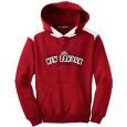 Youth Hooded Sweatshirt