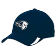 V-Flex Swoosh Cap