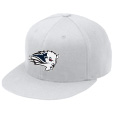 Flat Bill FlexFit Cap