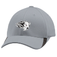 V-Flex Swoosh Cap