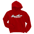 Youth Hooded Sweatshirt