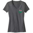Ladies V-Neck T-shirt