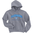 Youth Hooded Sweatshirt