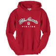 Youth Hooded Sweatshirt