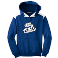Youth Hooded Sweatshirt with Contrast Color