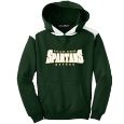 Youth Hooded Sweatshirt with Contrast Color