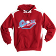 Hooded Sweatshirt with Contrast Color