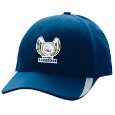 V-Flex Swoosh Cap