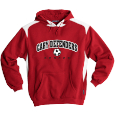 Hooded Sweatshirt with Contrast Color