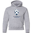 Youth Hooded Sweatshirt