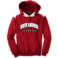 Youth Hooded Sweatshirt with Contrast Color