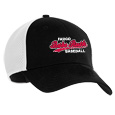 Stretch Mesh Cap