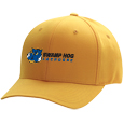 Flexfit Cap