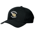 Flexfit Cap