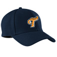 Tide Batting Practice Cap