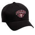 Low Profile Wool 6-Panel Cap