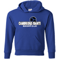 Youth Hooded Sweatshirt