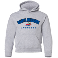 Youth Hooded Sweatshirt