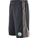 Electron Performance Short
