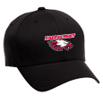 Flexfit Hat