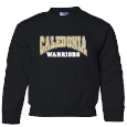 Youth Crewneck Sweatshirt