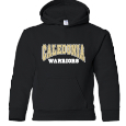 Youth Hooded Sweatshirt
